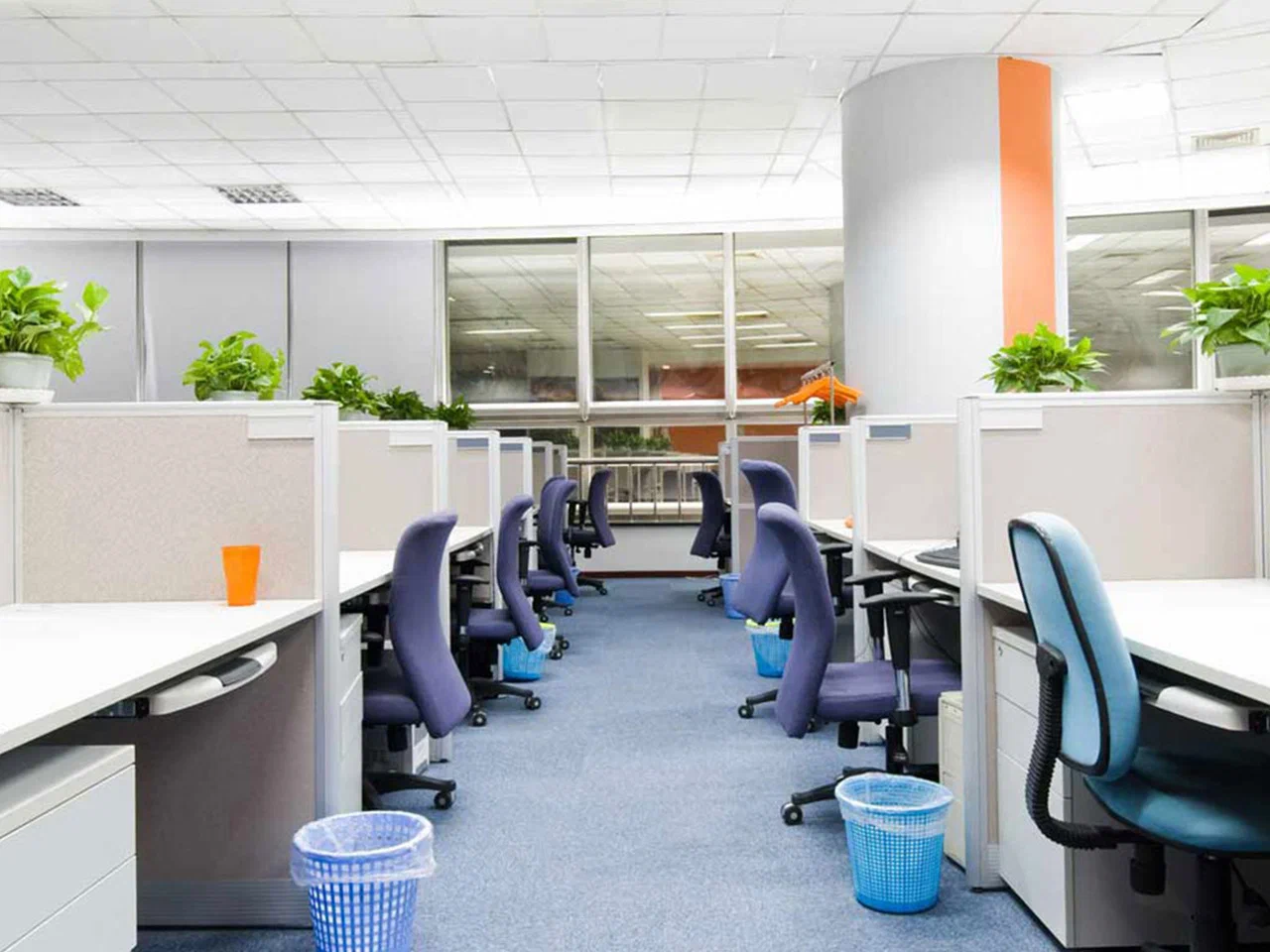 picture of a fresh office environment.